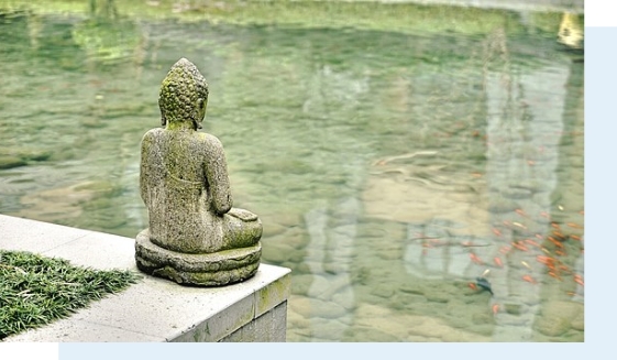 meditaciones Meditaciones guiadas